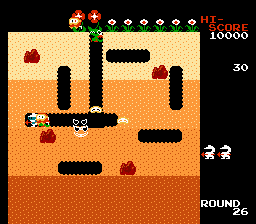 NES: Dig Dug