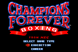 TG-16: Champions Forever Boxing